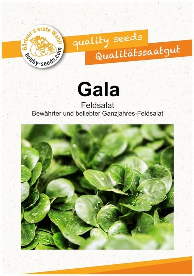 Bobby-Seeds Feldsalat Gala Portion