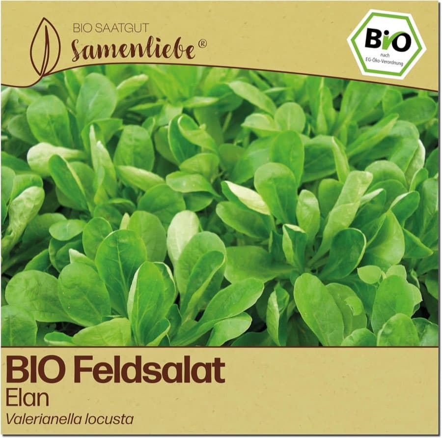 Testsieger Samenliebe BIO Feldsalat Elan