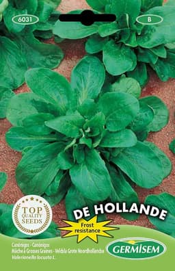 Germisem Germisem Feldsalat De Hollande