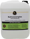 Leintrade Kaliwasserglas 10 L