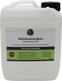 Leintrade Kaliwasserglas 5 L (günstig)