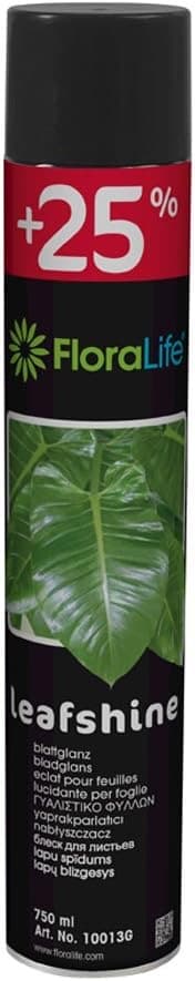 Smithers Oasis FLORALIFE Blattglanz 750 ml (Oasis)