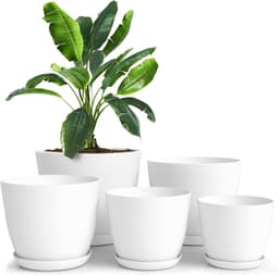 Utopia Home 5er-Pack weiß mit Untertasse