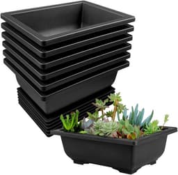 Lovesmile 6er Bonsai-Schale schwarz