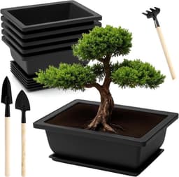 APOMOONS APOMOONS 6er Bonsai-Schale mit Mini-Werkzeug
