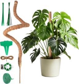 Ouxayapl Ouxayapl Kokosstab 120 cm mit Zubehör