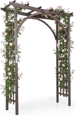 COSTWAY COSTWAY Rosenbogen Holz 160×60×216 cm Tanne