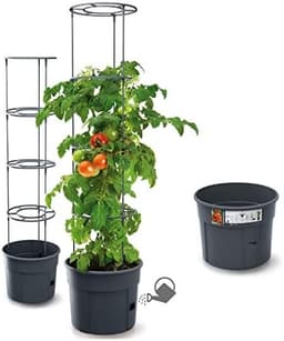 rg-vertrieb rg-vertrieb Tomatentopf 28 l / 153 cm