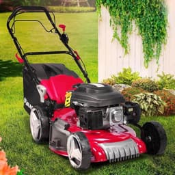 BRAST BRAST RED LINE 7PS 51 cm