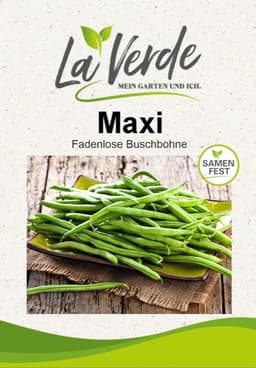 La Verde La Verde Maxi Buschbohnen (ca. 80 Pflanzen)