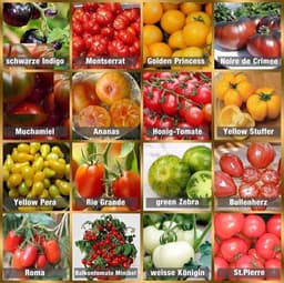prademir prademir Tomatensamen Set (16 Sorten)