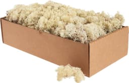 Moos Zeit Moos Zeit Islandmoos Naturweiß 500 g