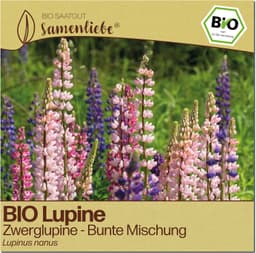 Samenliebe Samenliebe BIO Zwerglupinen Samen bunte Mischung (30 Samen)