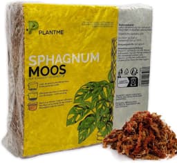PlantMe PlantMe Sphagnum Chile 1000 g