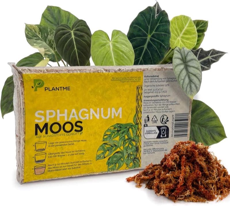 PlantMe Sphagnum Chile 200 g