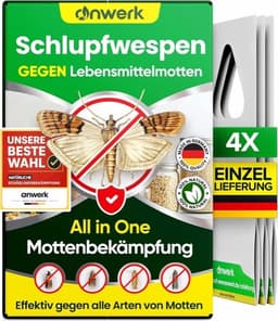 anwerk anwerk Schlupfwespen 4 Karten Einzellieferung
