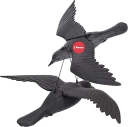 KADAX KADAX fliegende Krähe 2er