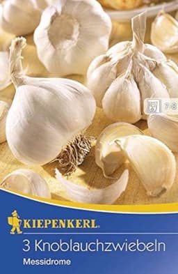 Kiepenkerl Messidrome 611429