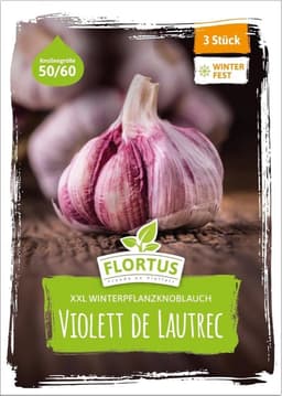 FLORTUS FLORTUS Violett de Lautrec XXL