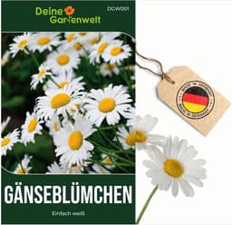 Deine Gartenwelt Deine Gartenwelt Bellis einfach weiß