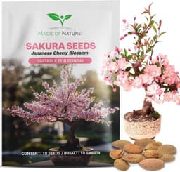 Magic of Nature Prunus serrulata Samen (Sakura)