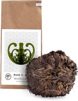 YAKEBA YAKEBA Rose von Jericho Mittel, Papiertüte