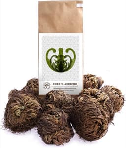 YAKEBA YAKEBA Rose von Jericho Mittel, 10er-Set, Papiertüte