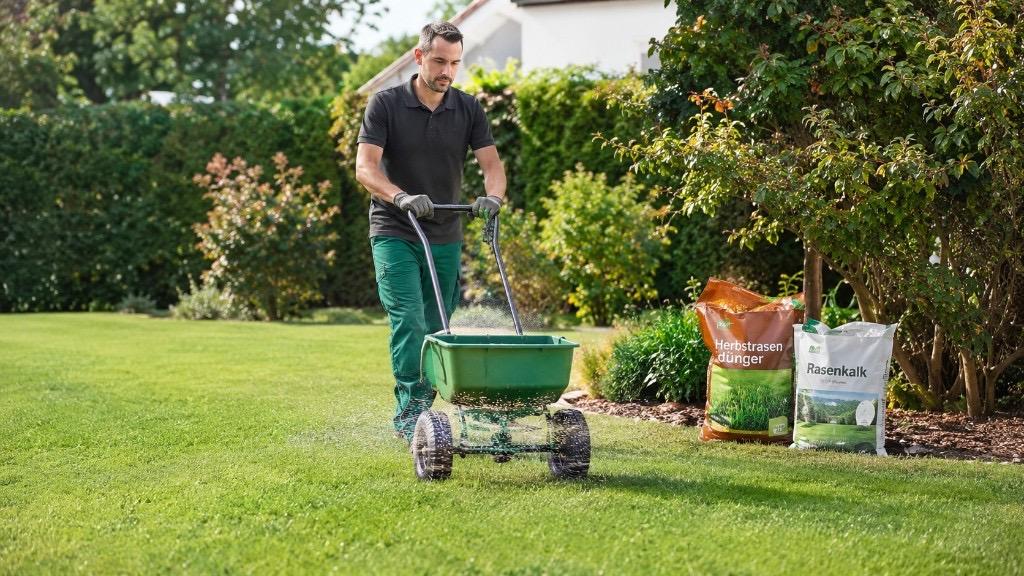 Rasen düngen wann: Jahrespflege ohne Fehlgriffe