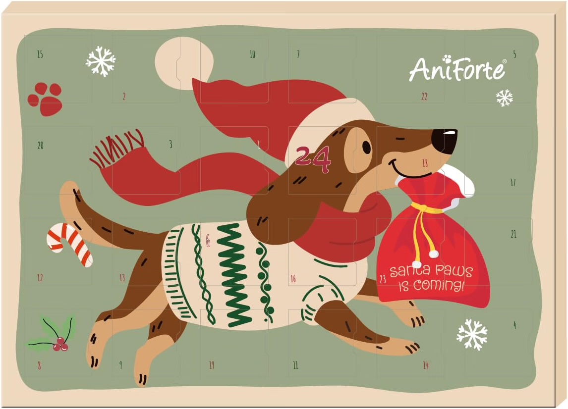 AniForte Adventskalender 2026