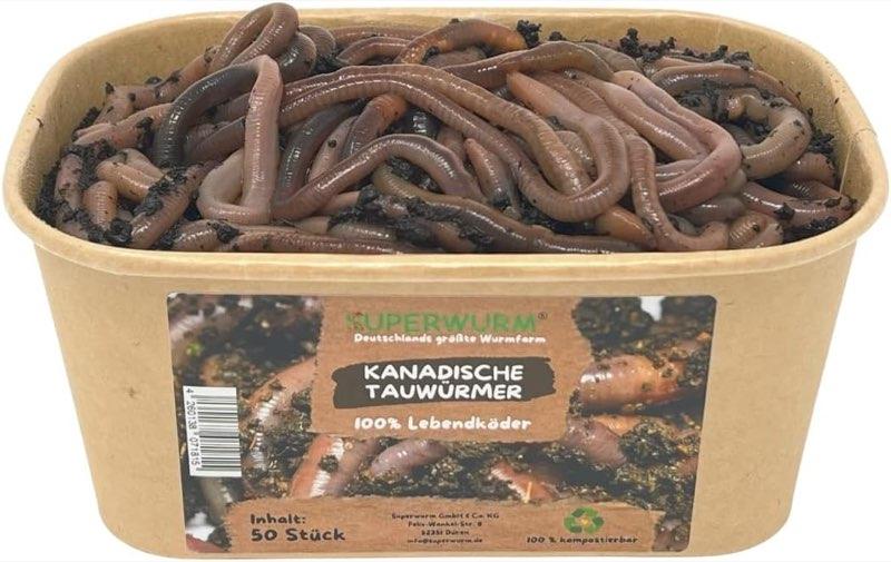 Superwurm Superwurm Tauwürmer, 50 Stück