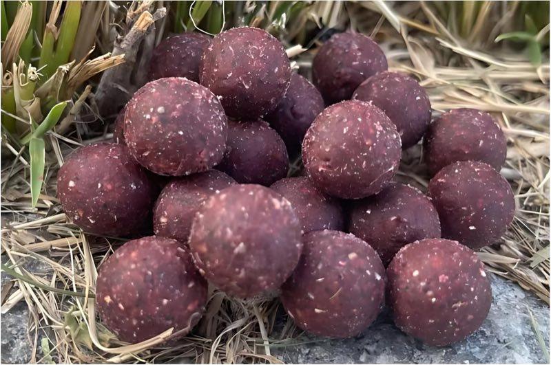 MK-Angelsport Scopex Garlic Robin Red 16 mm, 5 kg