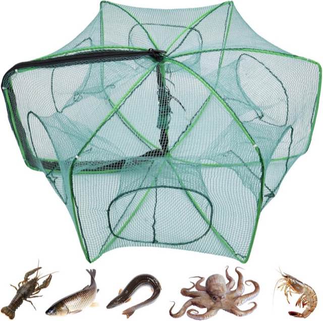 TUZHE Köderfischreuse, 6 Löcher