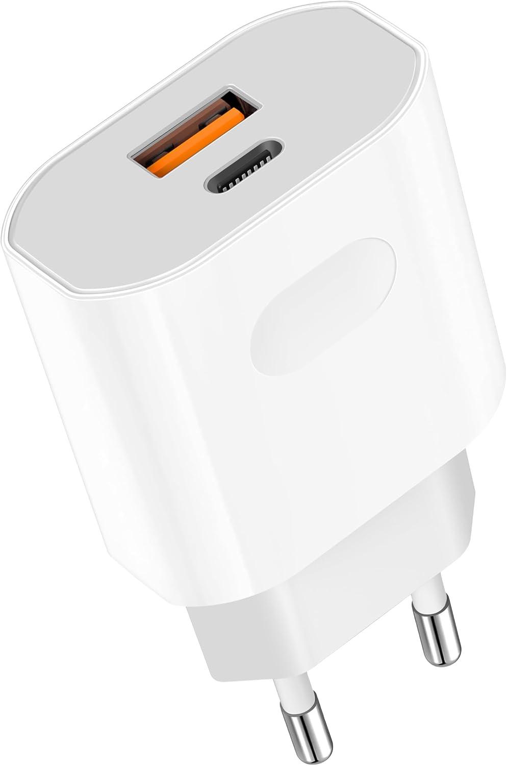 ANVSI 25W USB-C/A Dual-Port