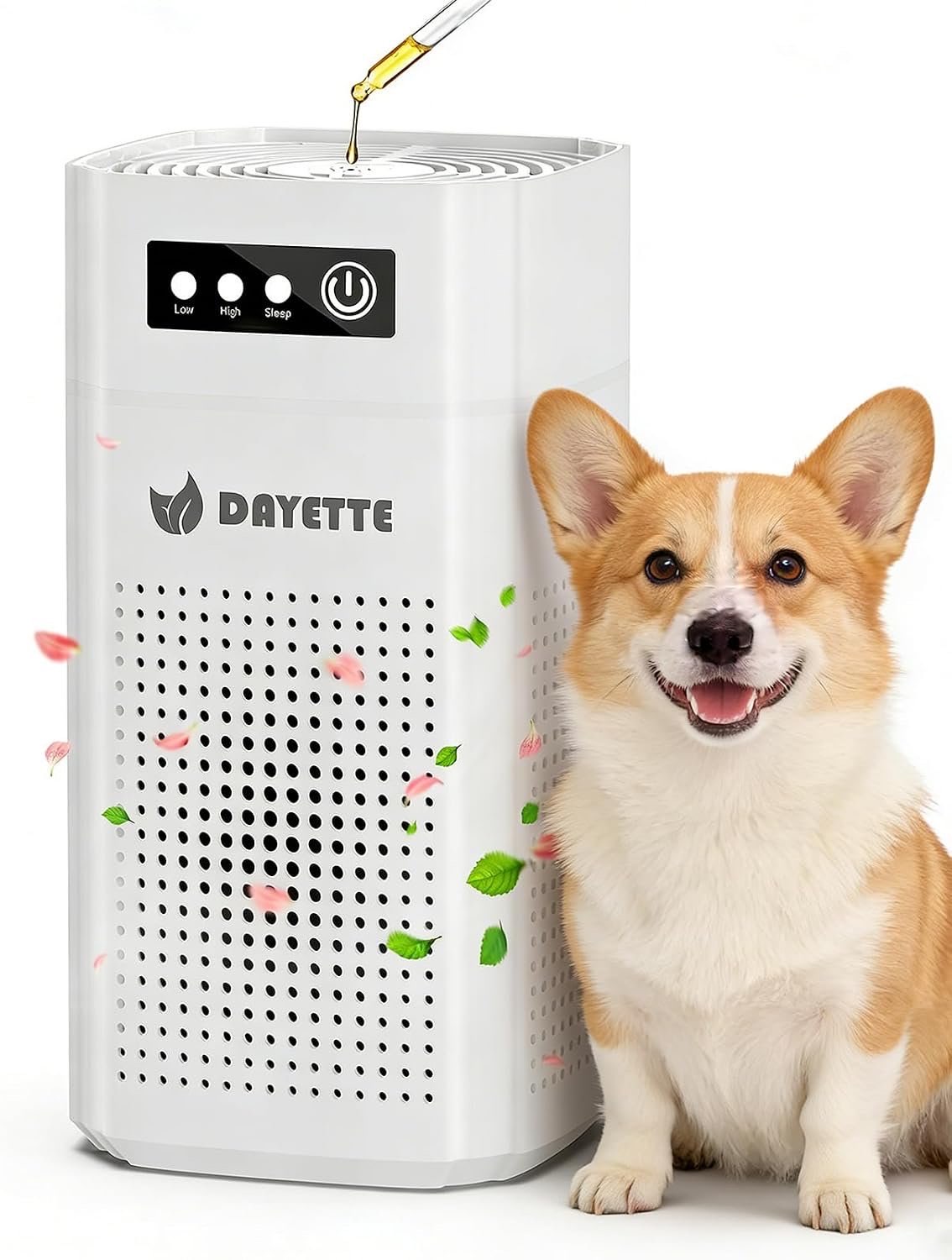 DAYETTE AP201