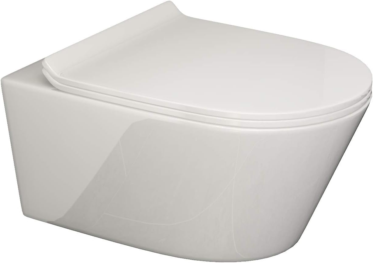 SSWW Design Wand-WC spülrandlos, verschiedene Designs