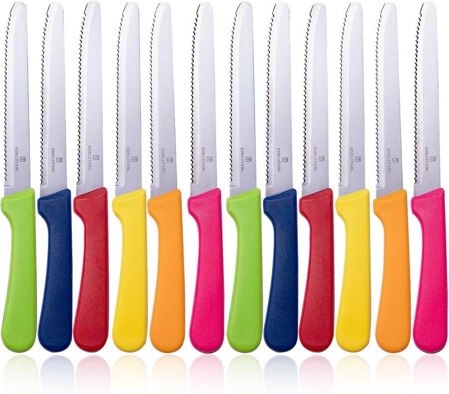 Targzier Steakmesser 12 Stück bunt