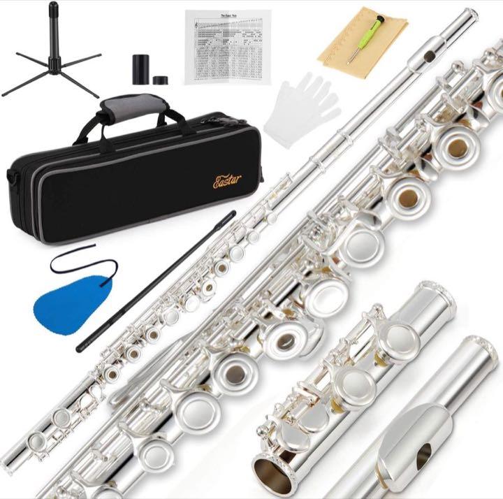 Eastar EFL-1 versilbert