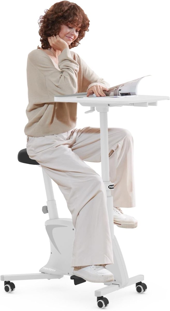 FlexiSpot V9-Lite