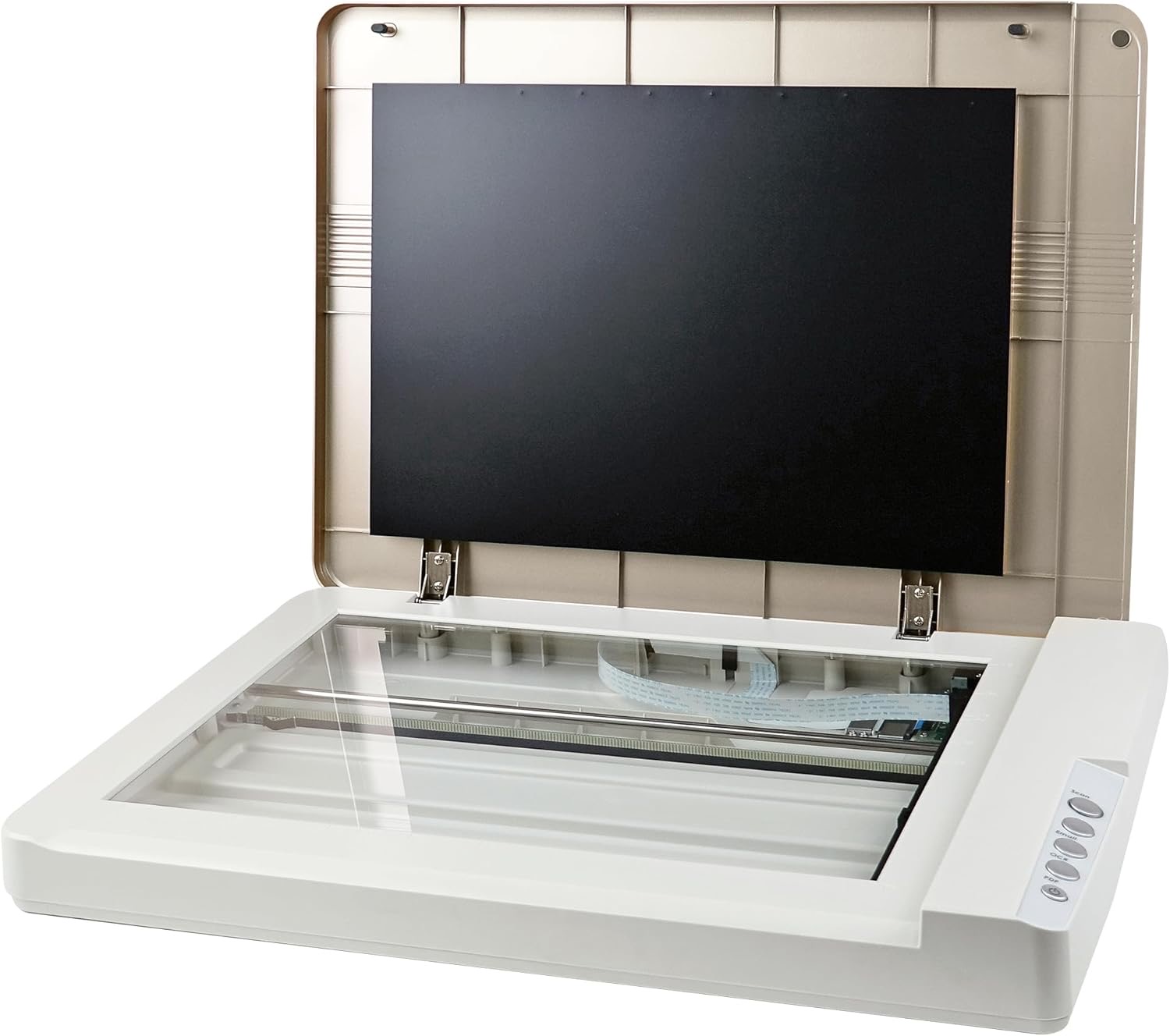 Plustek OS 1680 - Hochgeschwindigkeits-A3-Flachbettscanner, großformatige Scangröße für Blaupausen und Dokumente. Scannen Sie die A3-Größe in nur 3 Sekunden für Mac und Windows