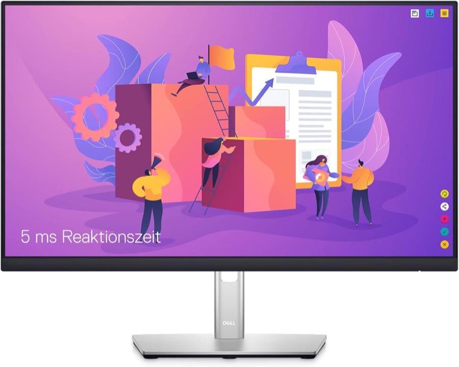 Dell Dell P2422H 23,8 Zoll 60 Hz