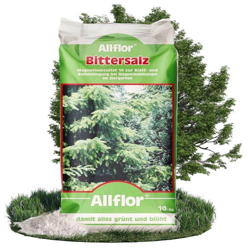 Allflor Bittersalz · 2 × 10 kg · 16 % Magnesium