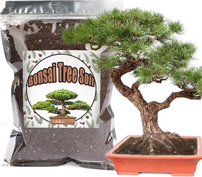 GOTVUGE Bonsai-Erde · 1 L
