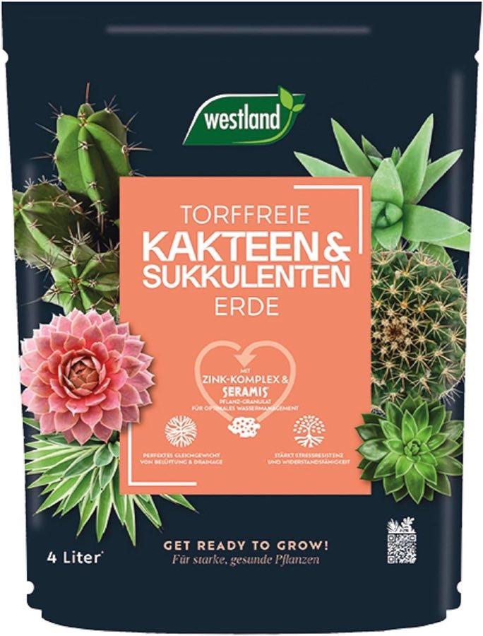 Westland Kakteen & Sukkulenten Erde · 4 L