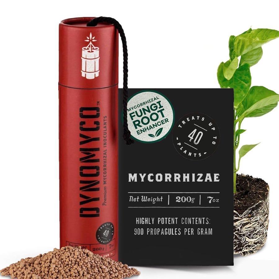DYNOMYCO Mykorrhiza · 200 g / 40 Pflanzen
