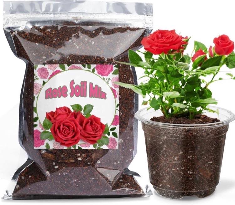GOTVUGE Bio-Rosen-Erde · 2 L