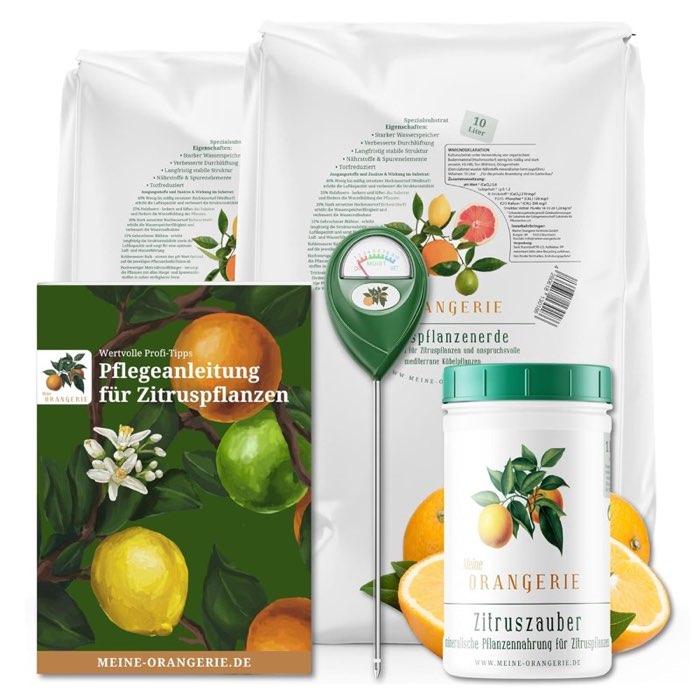 Meine Orangerie Zitrus-Pflegepaket · Mezzo