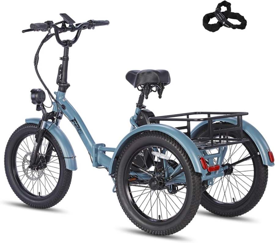 Fafrees F20 Mate mit Gasgriff, 20 Zoll