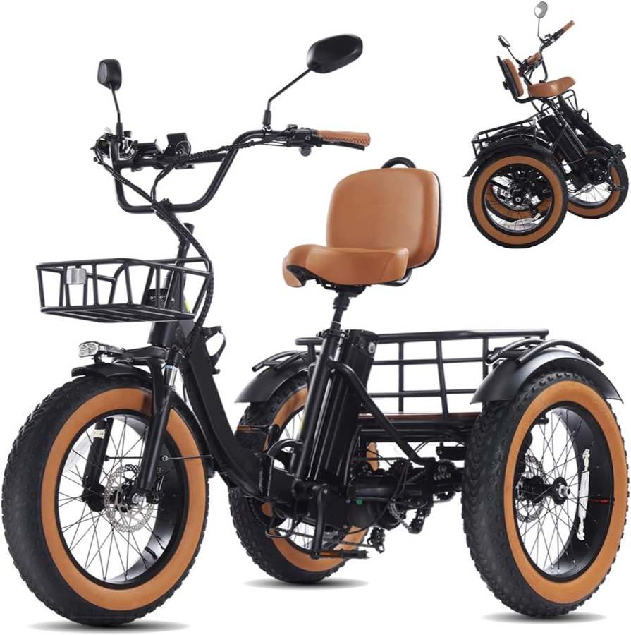 Broobey E-Trike 250 W, 20×4 Zoll