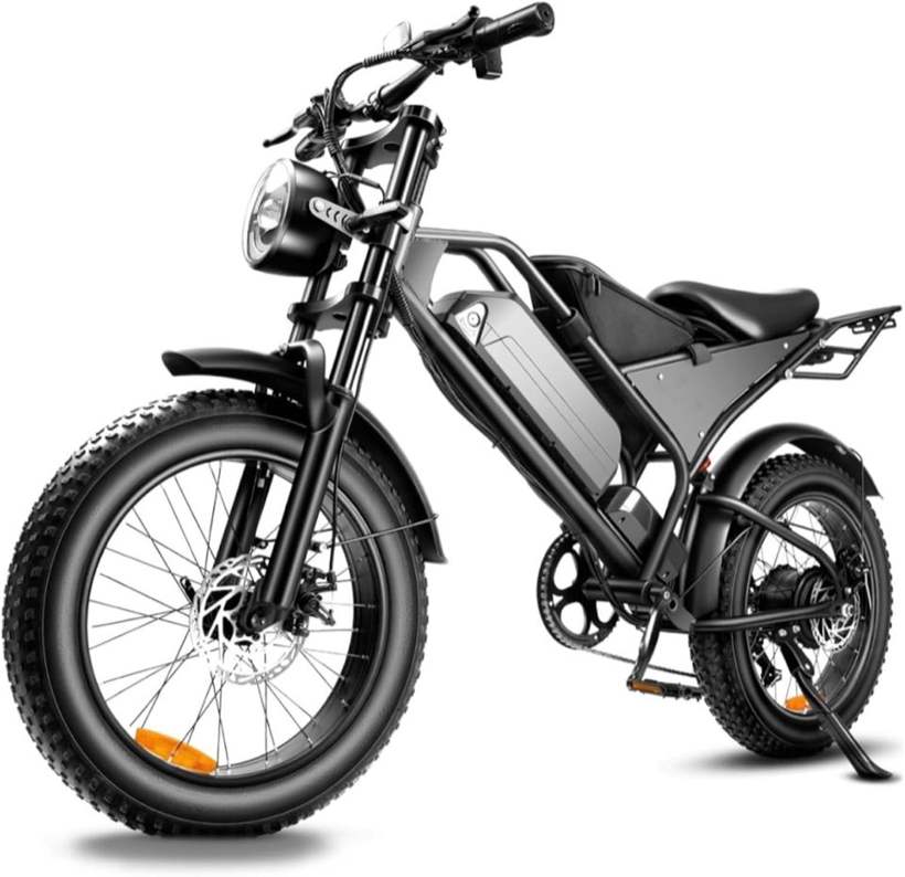Fanesen DK401