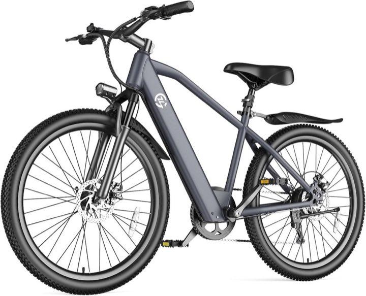 Fanesen L26 City-E-Bike 26 Zoll, 36 V 10,4 Ah